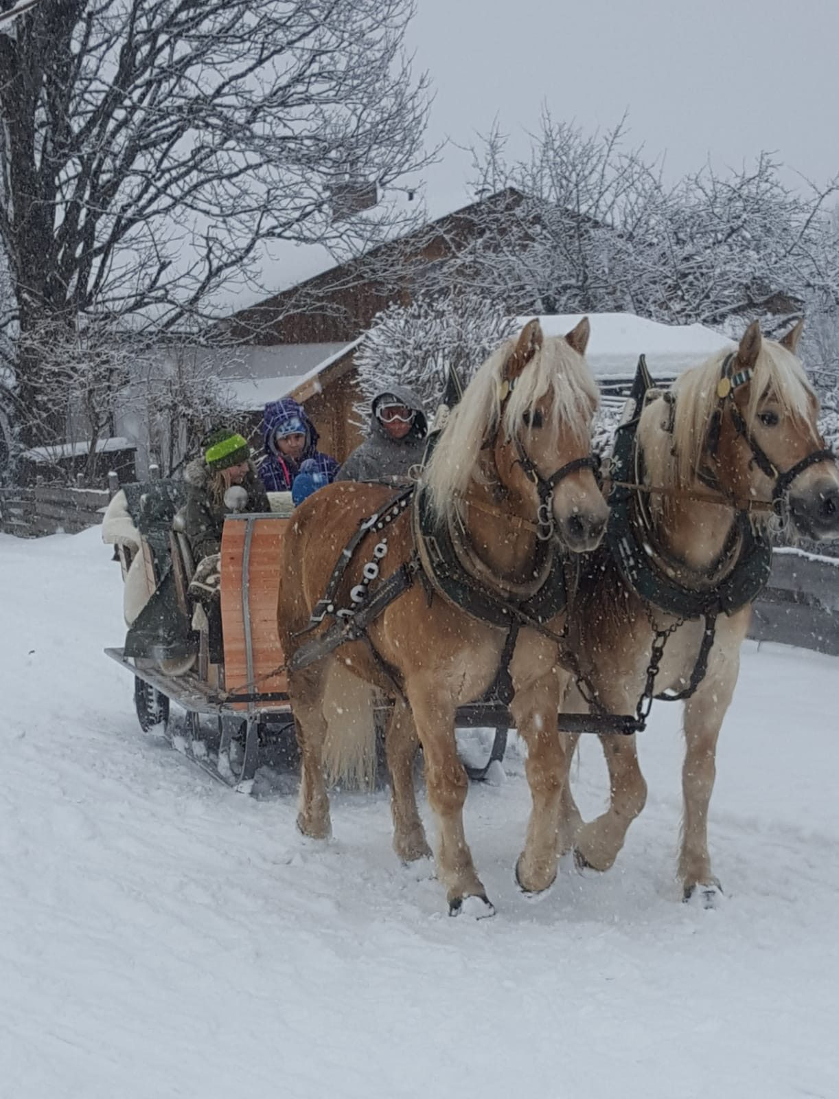 Ramsau arreslee