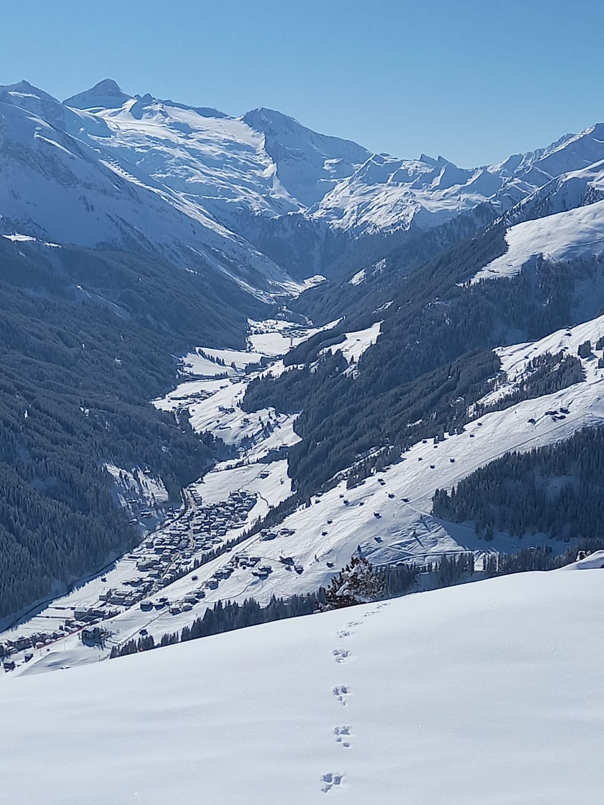 aussertal1
