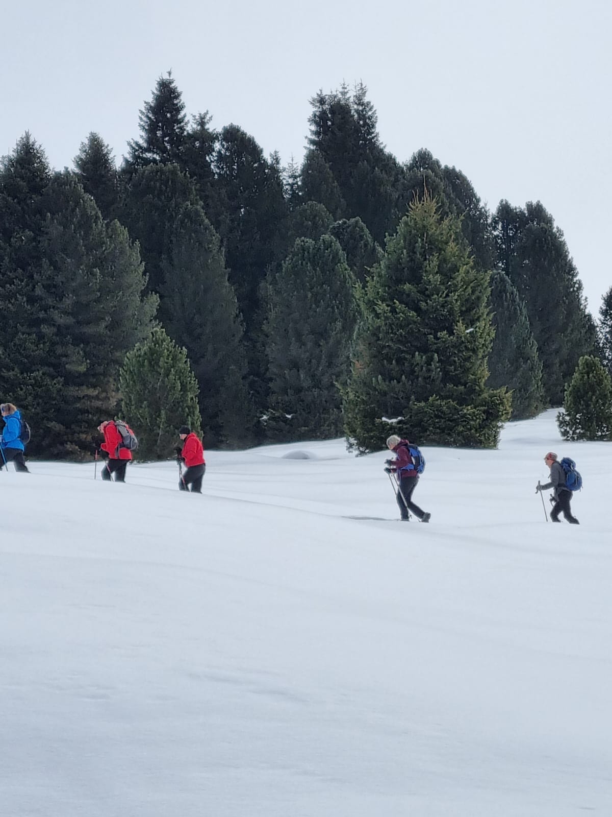 sneeuwschoen