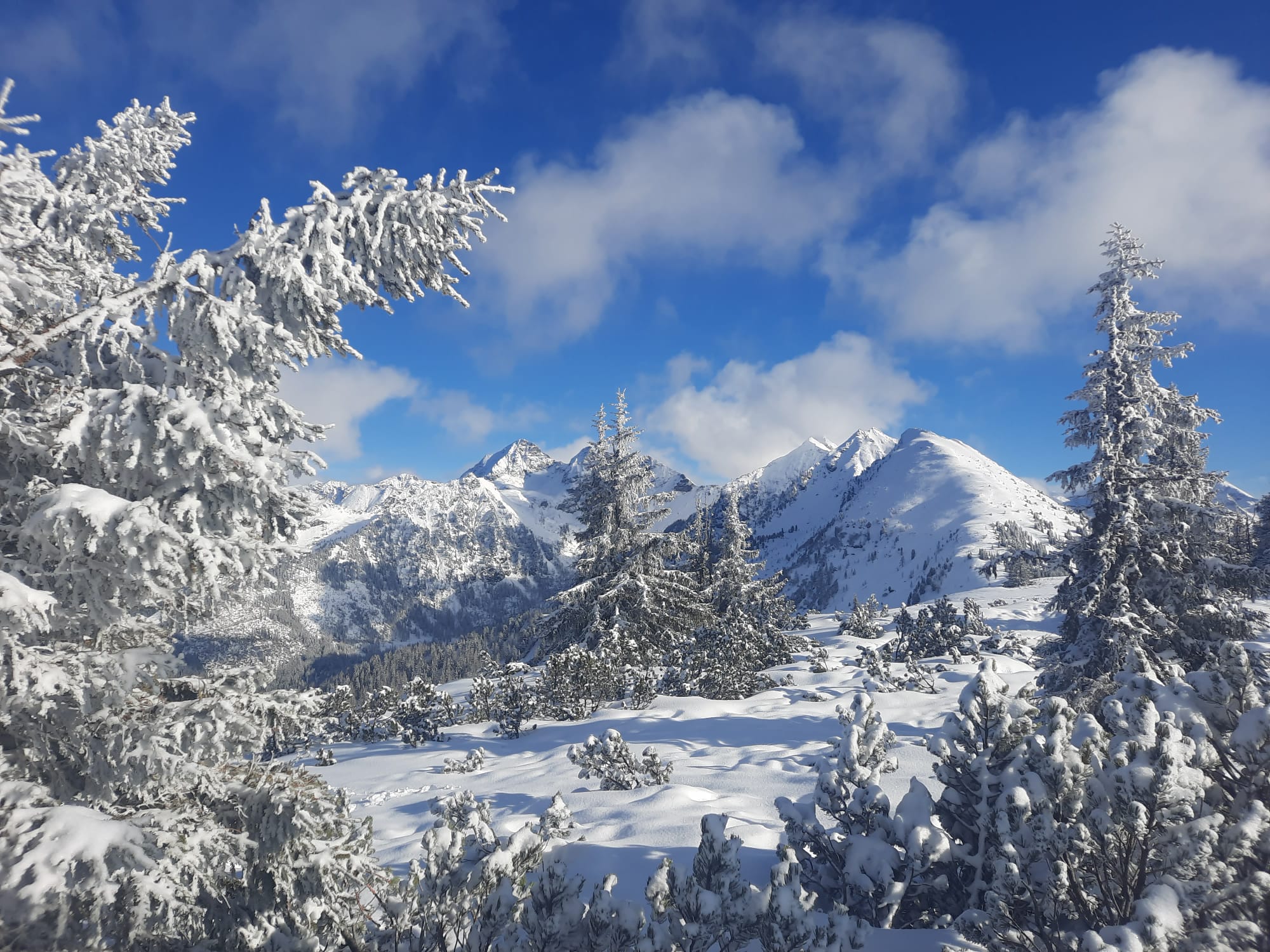 sneeuw