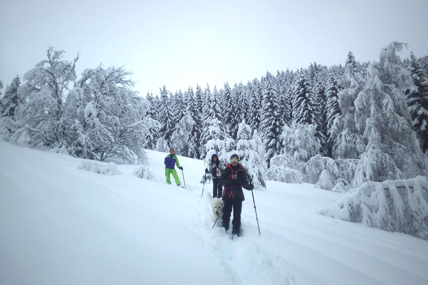 sneeuwschoen Oz